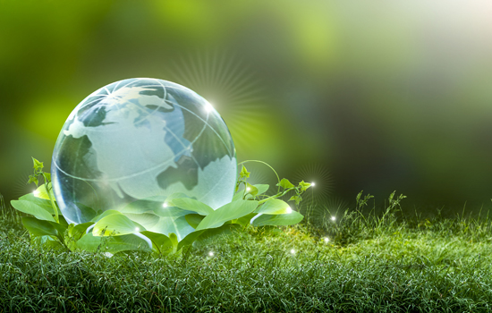 Sustainability