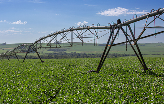 Smart Irrigation Technology