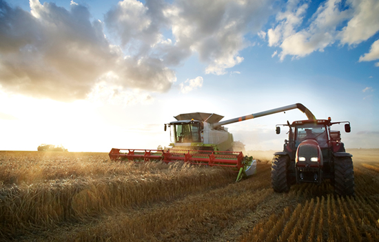 An agricultural combine in a field